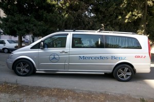 Mercedes Viano 